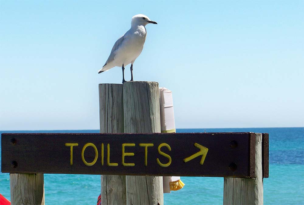 Portable toilets