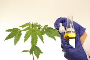 CBD oil for arthritis pain