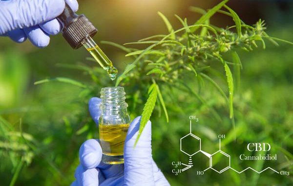 Cannabinoids– what we know and what you need to know