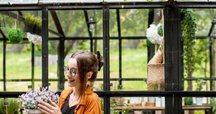 How a Glass Extension Can Improve Your Home