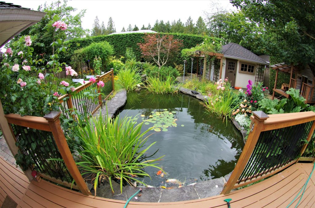 Fibreglass Pond