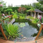 A Guide to Building Your Dream Garden Pond with a Fibreglass Pond Kit