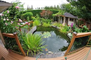 Fibreglass Pond