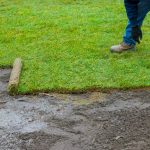 When Is the Best Time of Year to Hire a Landscape Gardener in Cardiff?