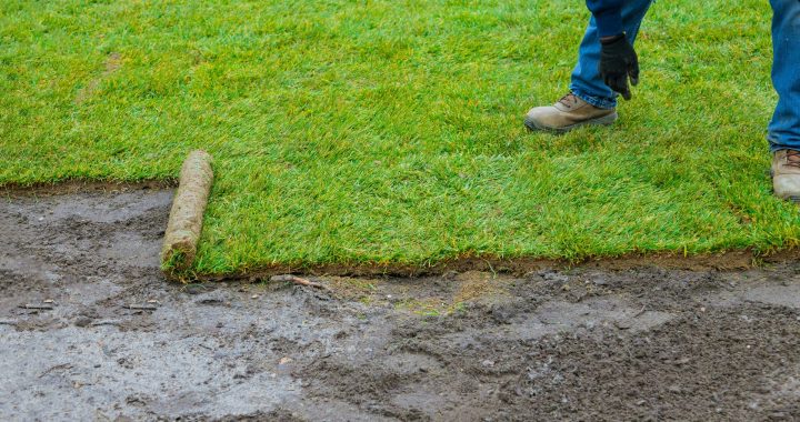 When Is the Best Time of Year to Hire a Landscape Gardener in Cardiff?