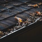 Gutter Cleaning in Cardiff: A Guide to Preventing Costly Home Damage