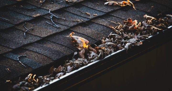 Gutter Cleaning in Cardiff: A Guide to Preventing Costly Home Damage